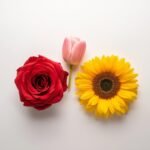 Fresh Flowers